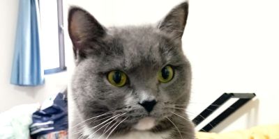 无安装组装拼装弱电电工家教初中高中