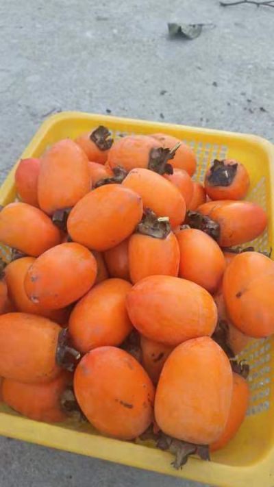 我是万能师傅