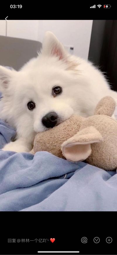 家具维修保养无家居修复