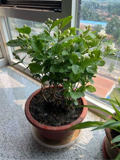 安装工