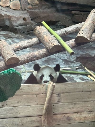 无