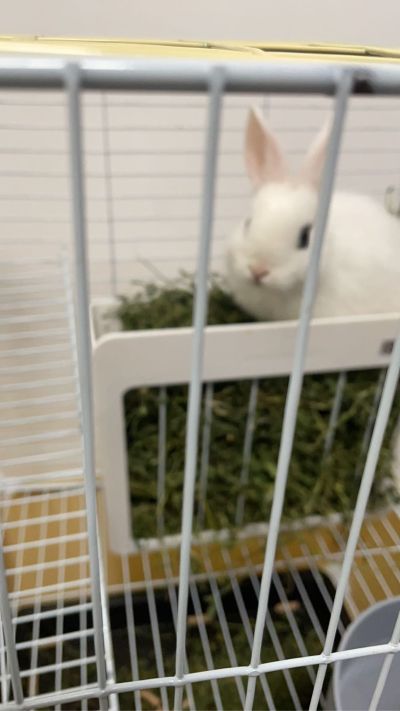 装修行业