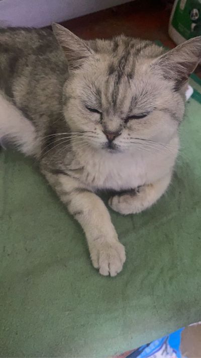 家里装修转