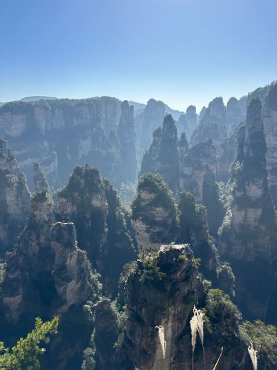 景观