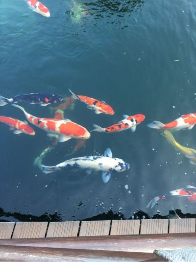 木工