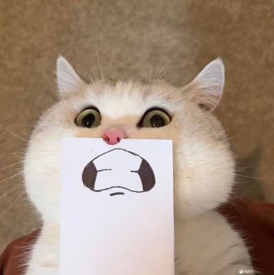接单