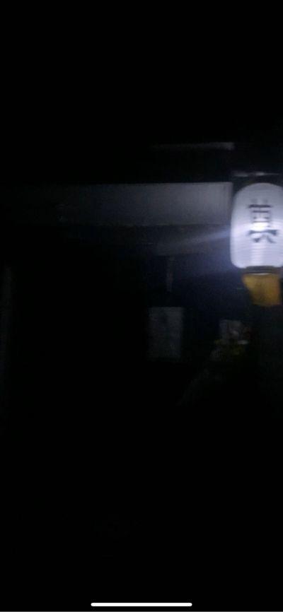体力好