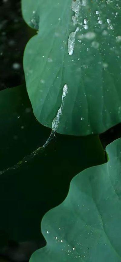 室内设计
