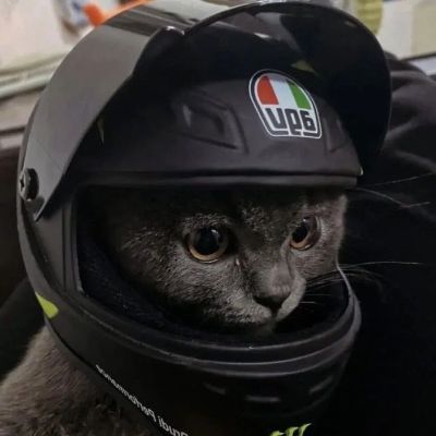 电工木工