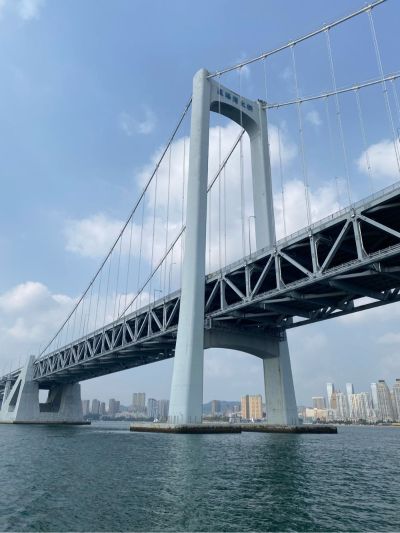 电工电气安装维修