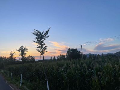 美的家电维修家电维修