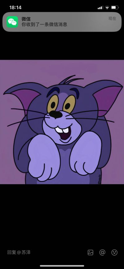 家庭灯具灯具安装