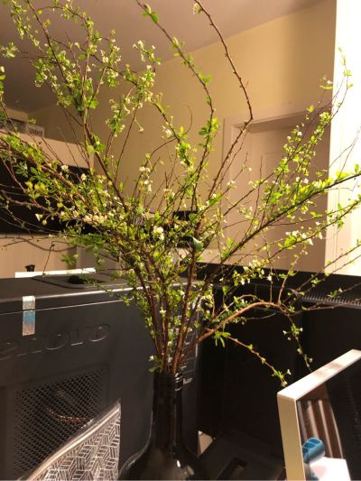 小块抹布冲入洗手盆下水道。