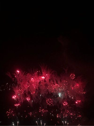 专业电动门