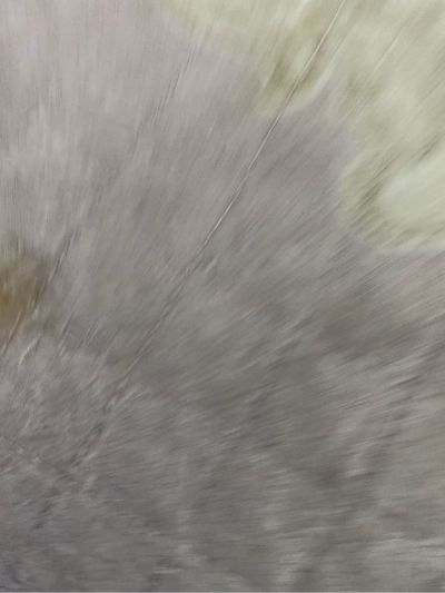 专业木工吊顶