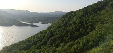 公司