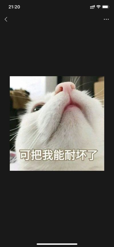 广告广告