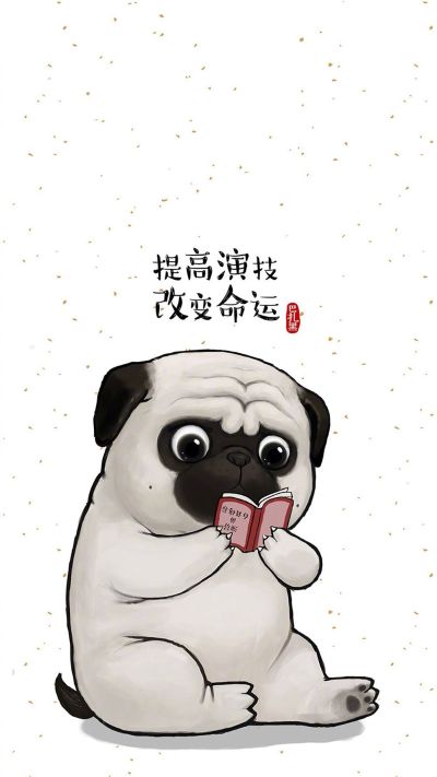 监控安装