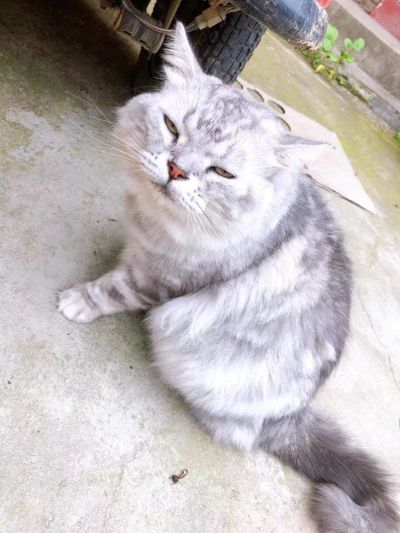 手工