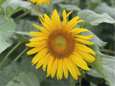 木工木工安装安装