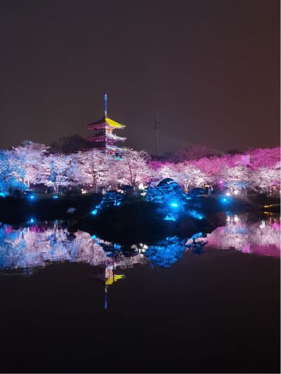 维修