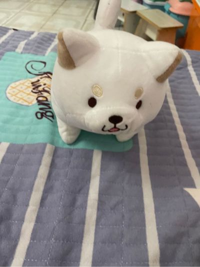 水电木工卫浴