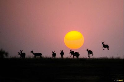 家居安装卫生间住房照明