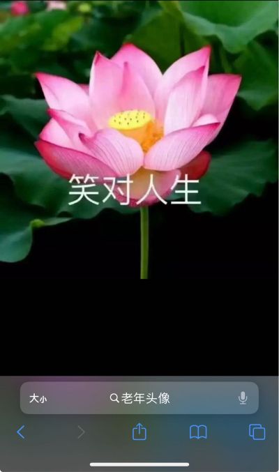 传媒
