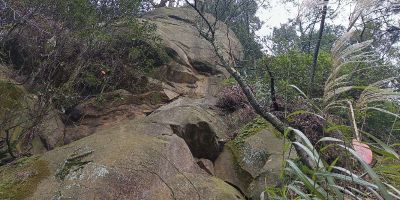 电器维修 安装 回收……
    工厂 宾馆 旅馆 餐厅 (厨房的):    灶 烟机 热水器 制冰机 雾化机 冰柜 激光设备 打印机 空调等 各种电器 维修  拆装  ……         
          家庭漏水  漏电 检测 维修  ……