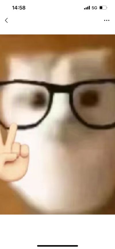 王小莲
