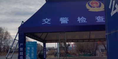 铁艺 门专业门地摊簧