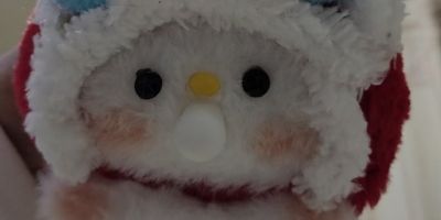 C1司机家具组装拆除，敲墙打孔