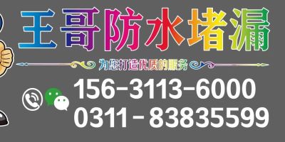 专业防水堵漏有限公司