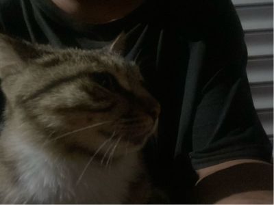 智能锁安装安装智能锁