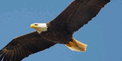 专业家电维修专业家电维修