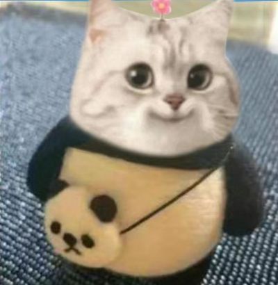 灯具卫浴安装