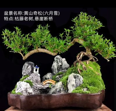 门锁 关不上了 （两扇）