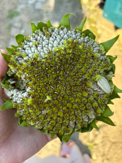 水龙头和菜盆下水