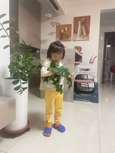 两名安装师傅 搬运5楼后安装