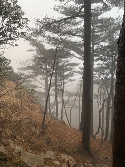 包工包料石膏板悬空背景墙制作