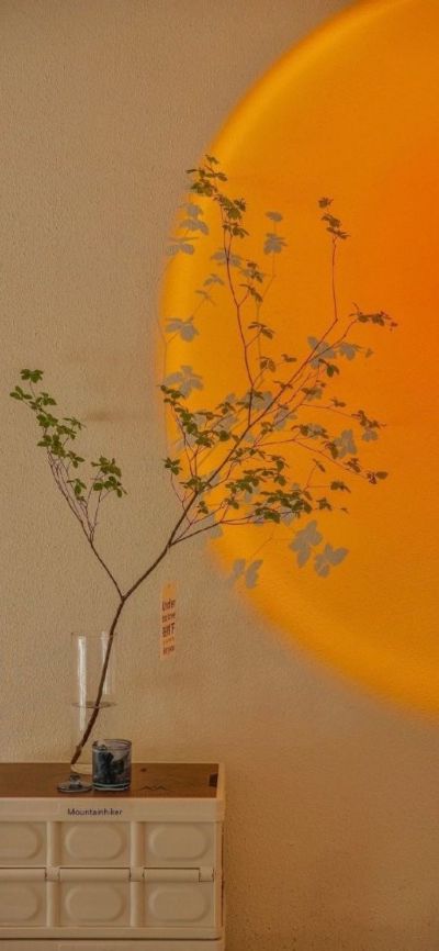 何朋阳电工