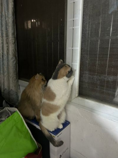 木工板基层开筒灯孔