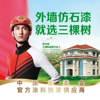 宋兵峰房屋修缮室内装修室内外装修