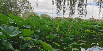 电脑维修电脑维修