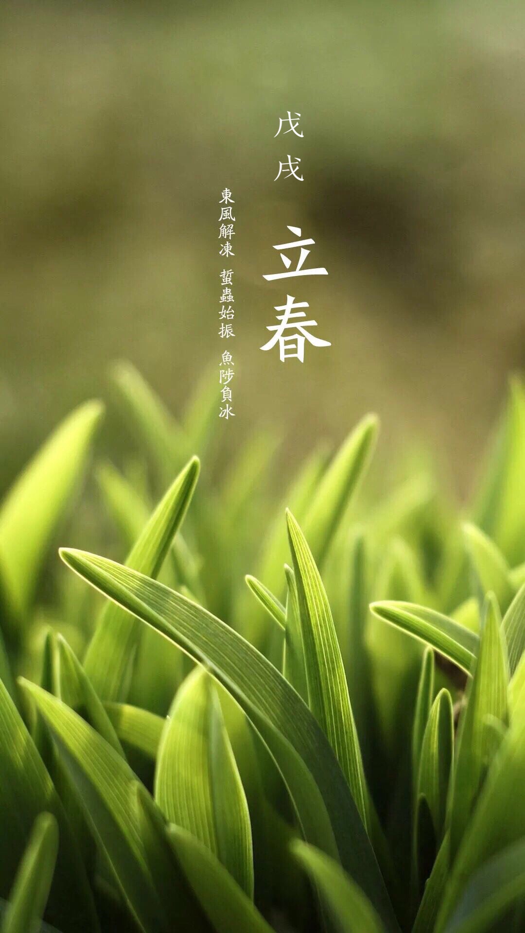 正事多-图像