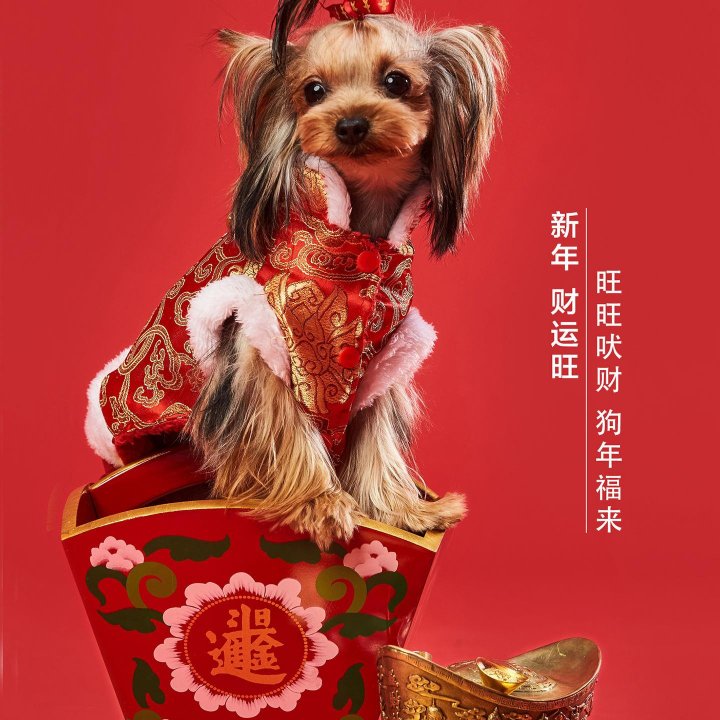 正事多-图像