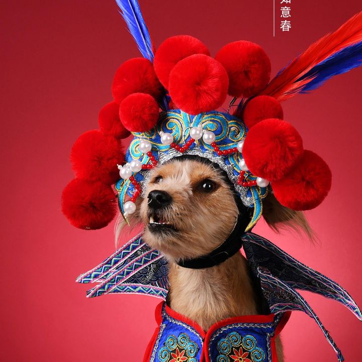 正事多-图像