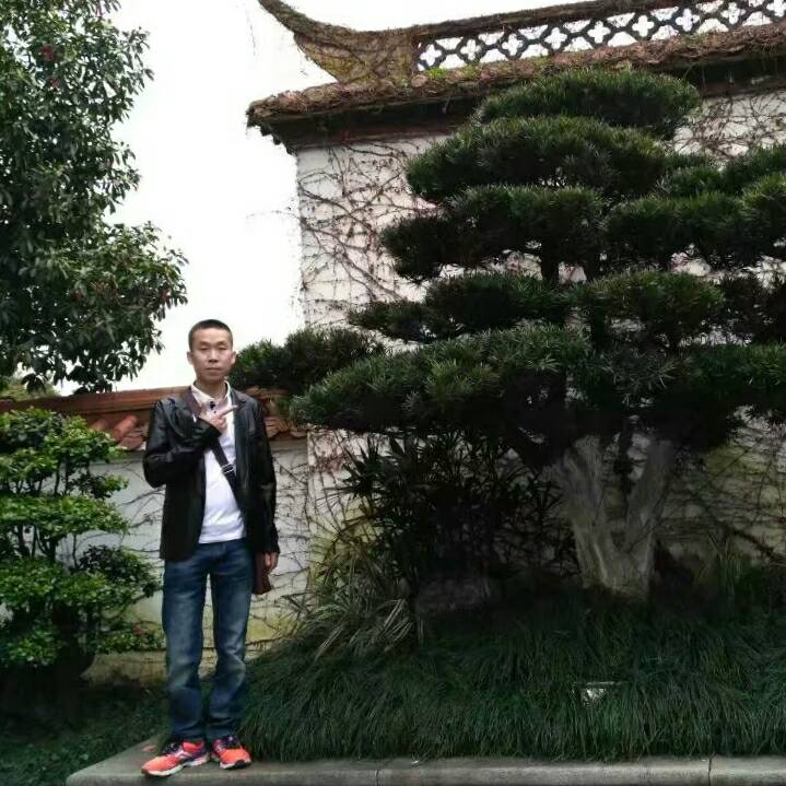 正事多-图像