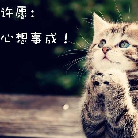 正事多-图像