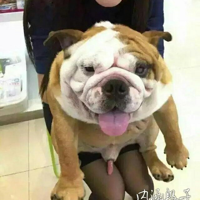 正事多-图像